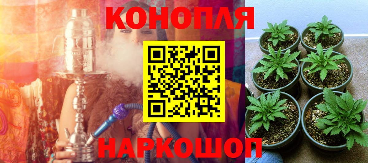 Шишки марихуана Bruce Banner Дюртюли